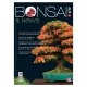 BONSAI & NEWS 161 - MAG-GIU 2017