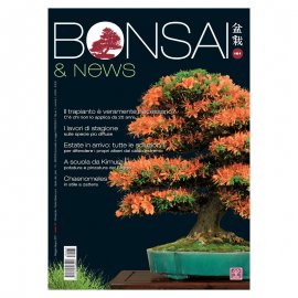 BONSAI & NEWS 161 - MAG-GIU 2017