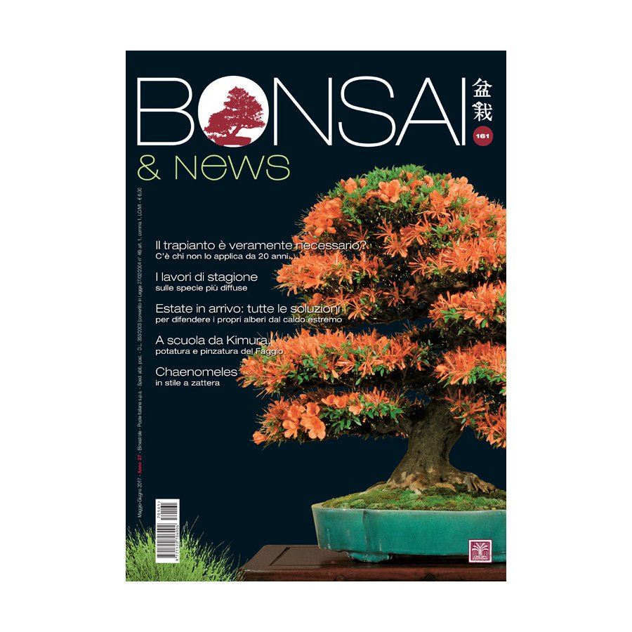 BONSAI & NEWS 161 - MAG-GIU 2017