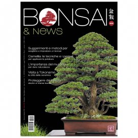 BONSAI & NEWS 164 - NOV-DIC 2017