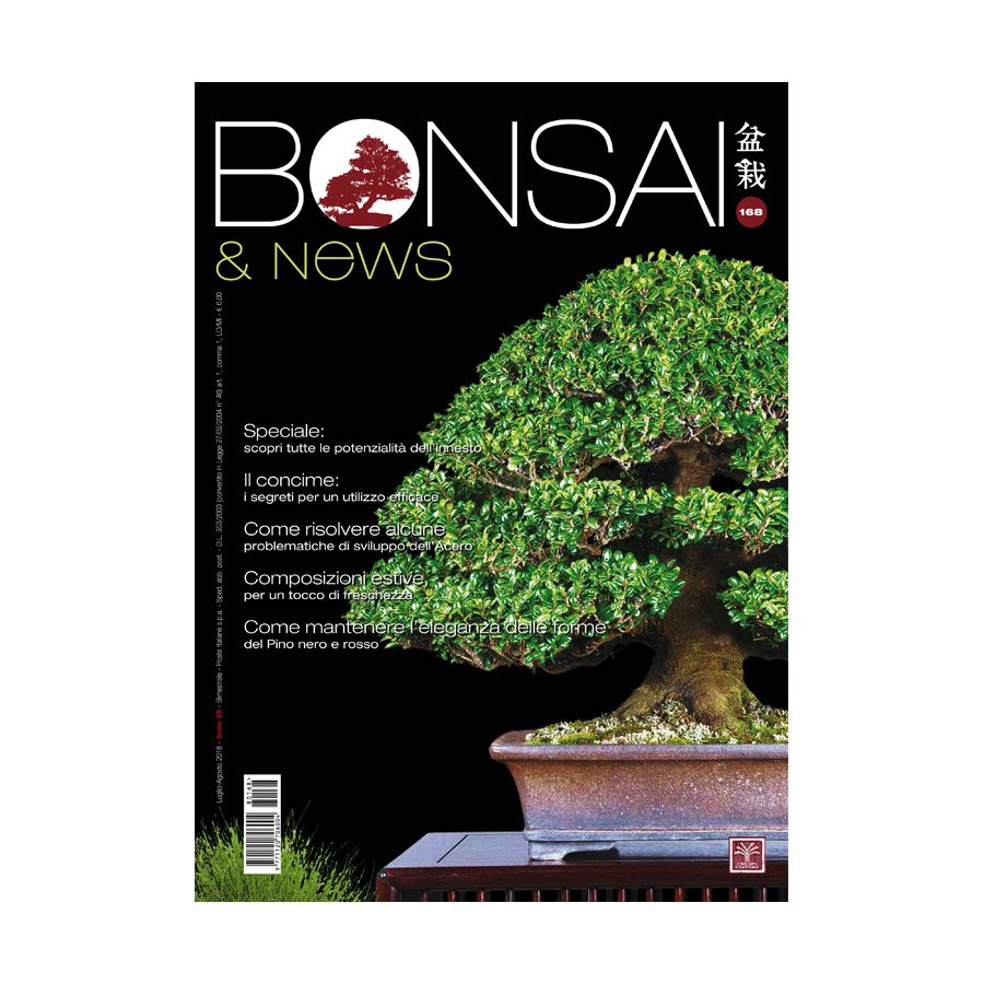 BONSAI & NEWS 168 - LUG-AGO 2018