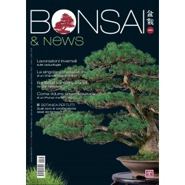 BONSAI & NEWS 171 -  GENN-FEBB 2019