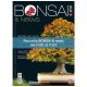 RACCOLTA BONSAI & NEWS DAL 161 AL 170