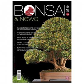 BONSAI & NEWS 172 -  MAR-APR 2019