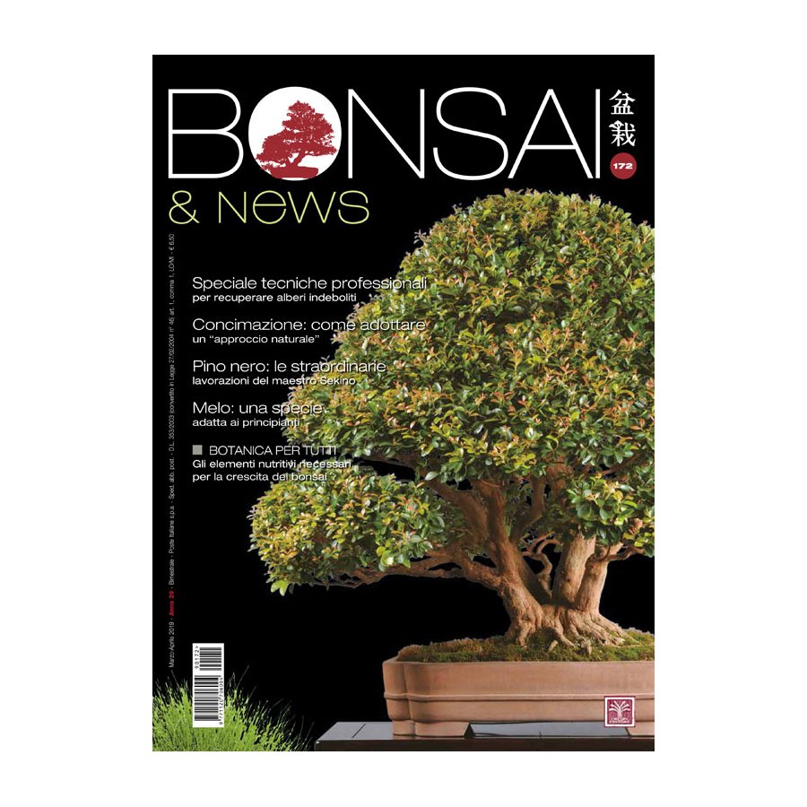 BONSAI & NEWS 172 -  MAR-APR 2019