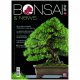 BONSAI & NEWS 174 -  LUG-AGO 2019