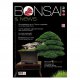BONSAI & NEWS 176 -  NOV-DIC 2019
