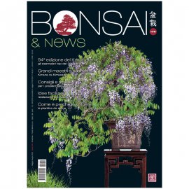 BONSAI & NEWS 179 - MAG-GIU 2020