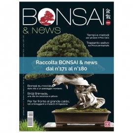 RACCOLTA BONSAI & NEWS DAL 171 AL 180