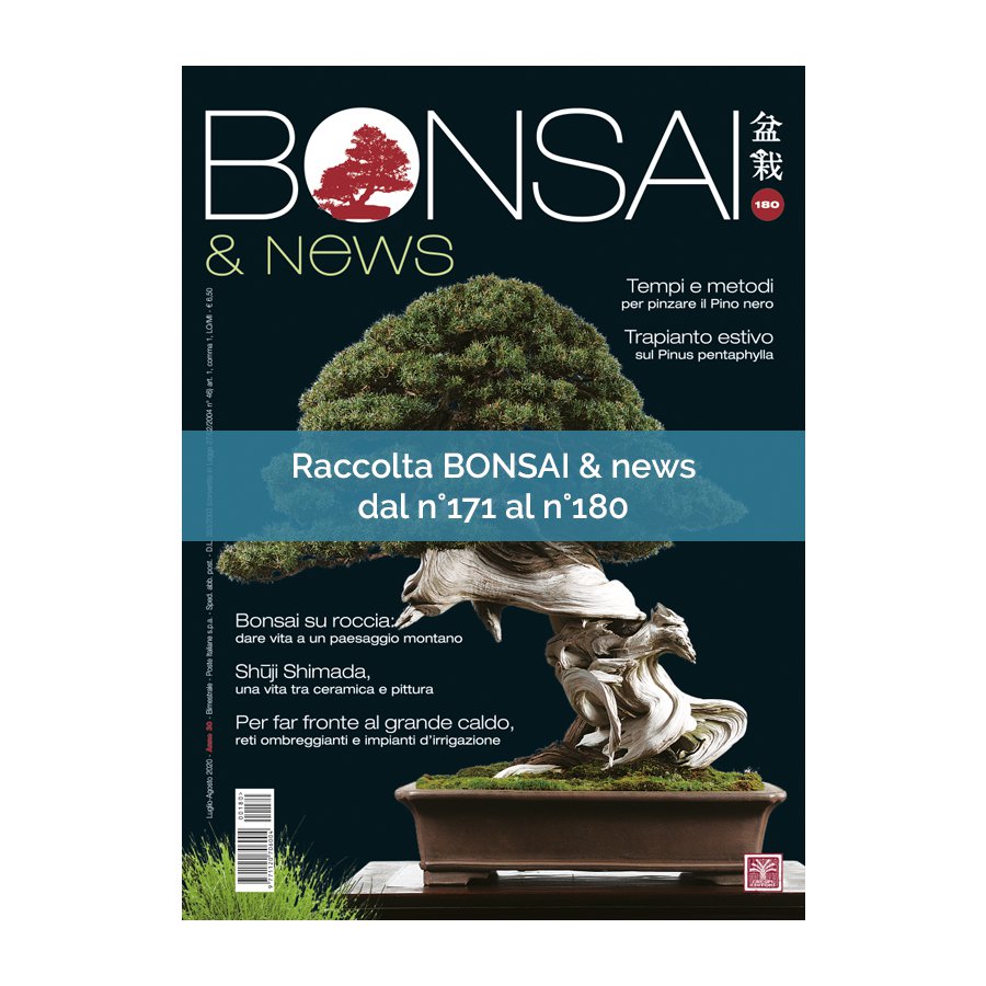RACCOLTA BONSAI & NEWS DAL 171 AL 180