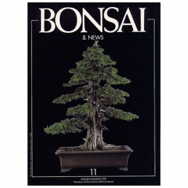 BONSAI & NEWS 11 - MAG-GIU 1992