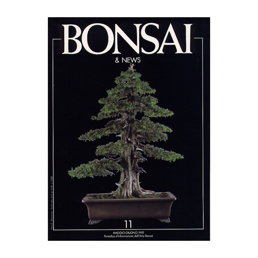 BONSAI & NEWS 11 - MAG-GIU 1992