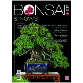 BONSAI & NEWS 184 -  MAR-APR 2021