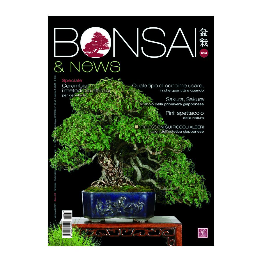 BONSAI & NEWS 184 -  MAR-APR 2021