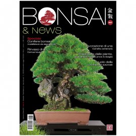 BONSAI & NEWS 187 -  SETT-OTT 2021