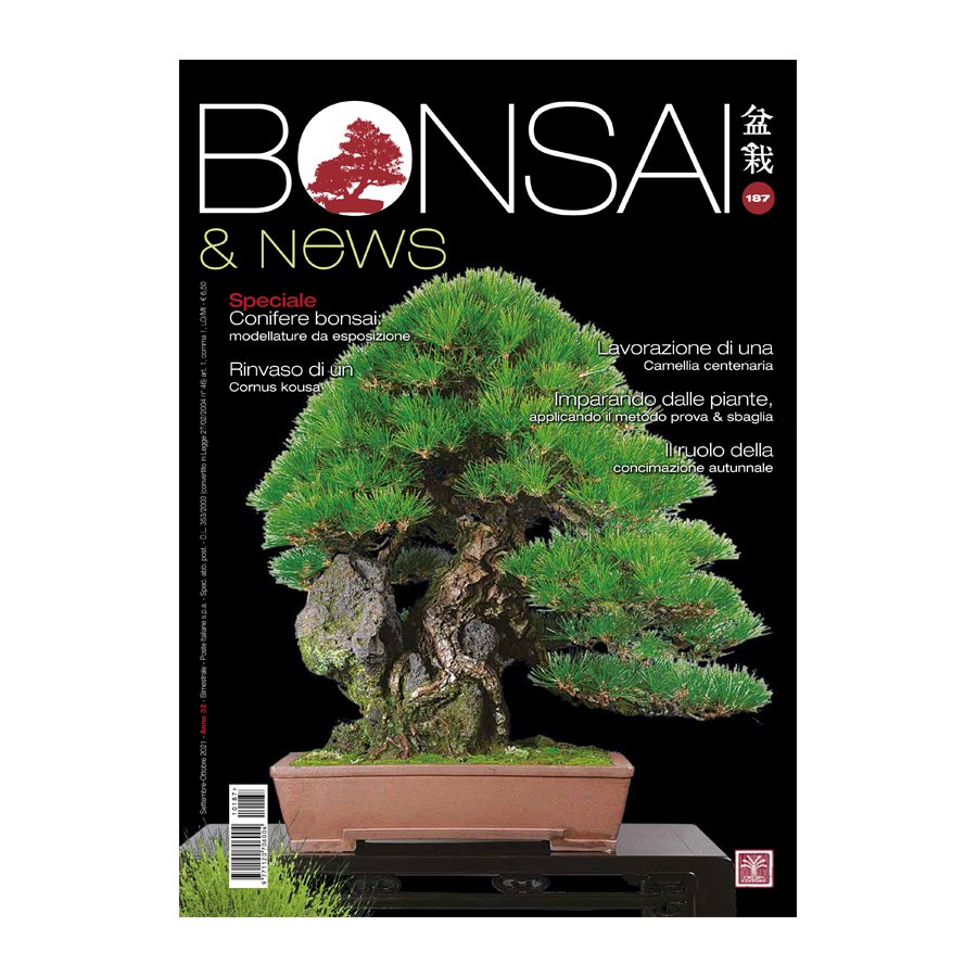 BONSAI & NEWS 187 -  SETT-OTT 2021