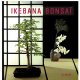 IKEBANA BONSAÏ