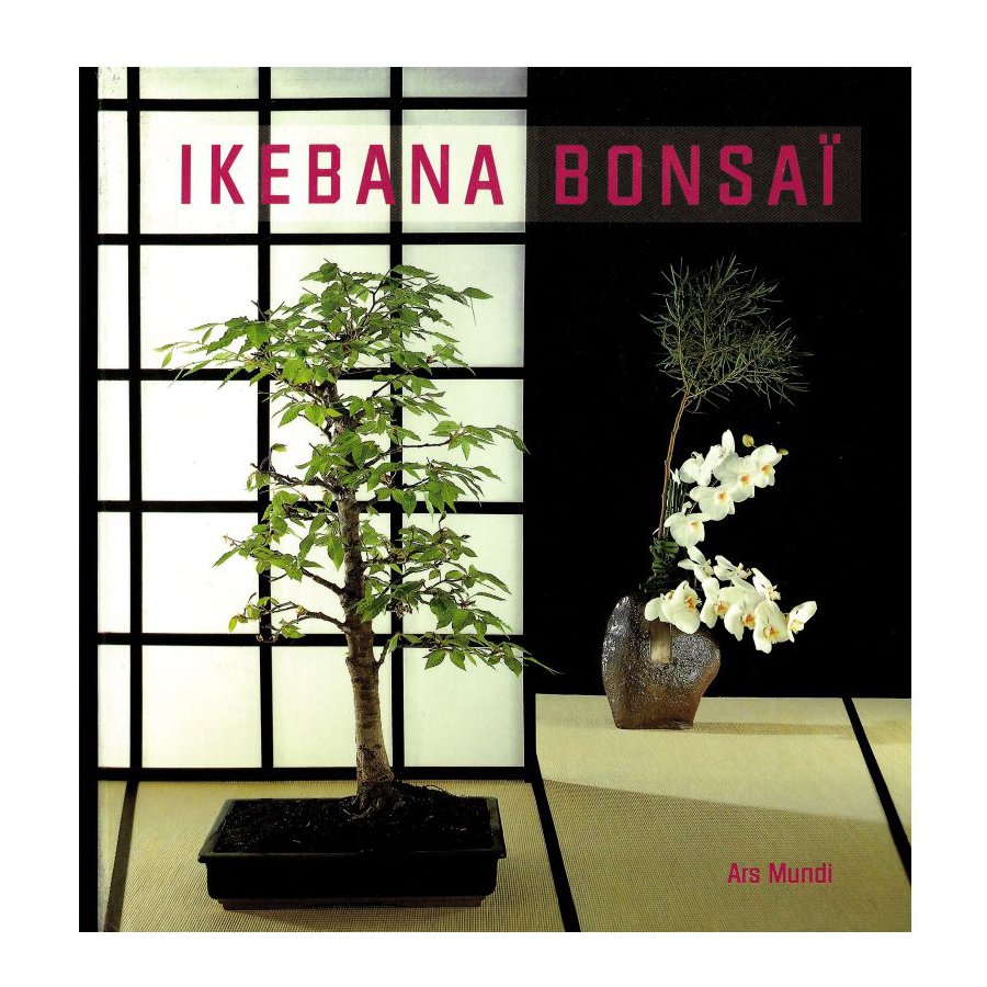 IKEBANA BONSAÏ