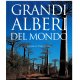 GRANDI ALBERI DEL MONDO