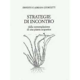 STRATEGIE D'INCONTRO