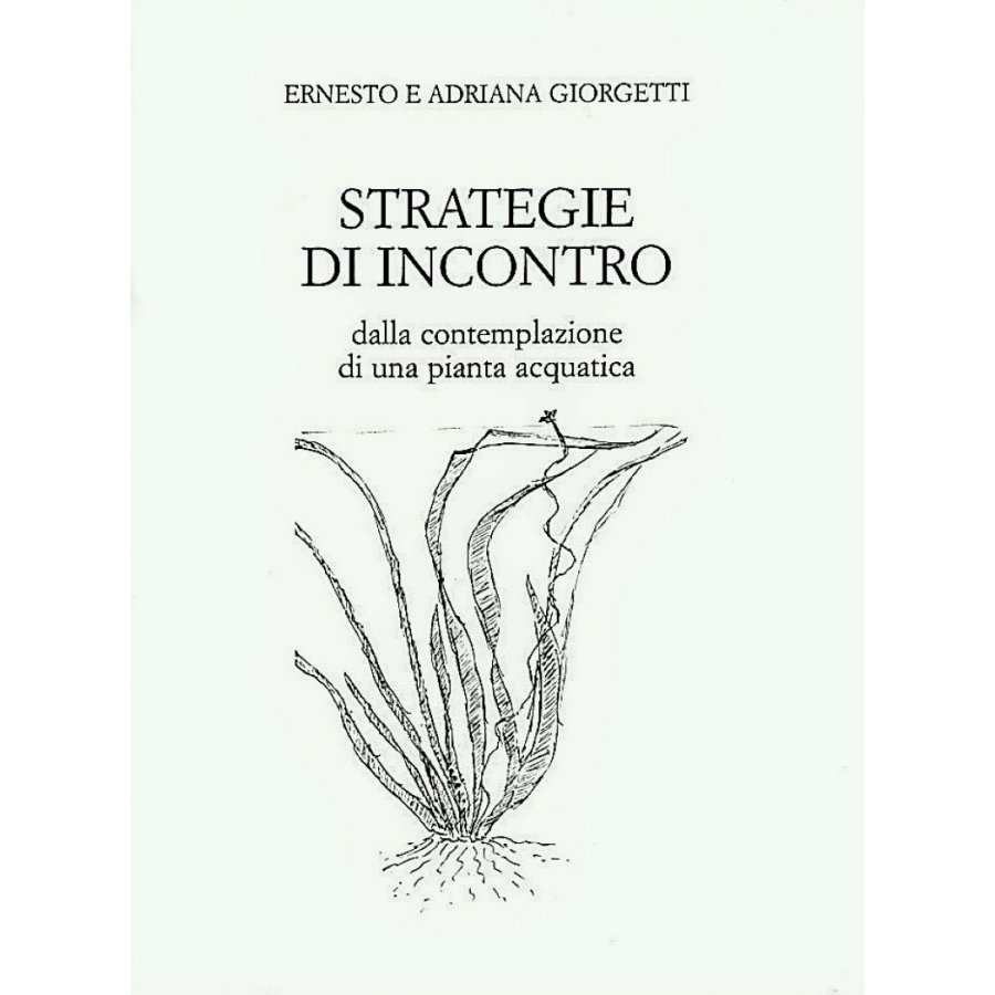 STRATEGIE D'INCONTRO