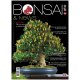 BONSAI & NEWS 192 -  LUG-AGO 2022