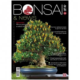BONSAI & NEWS 192 -  LUG-AGO 2022