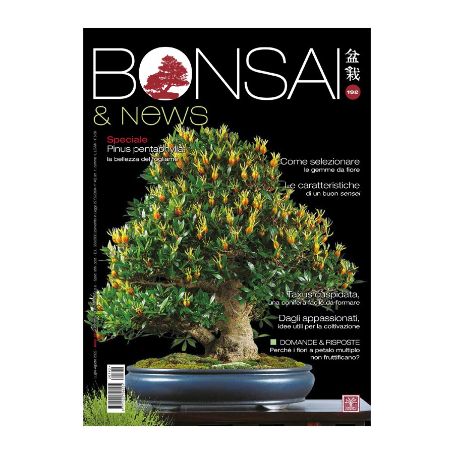 BONSAI & NEWS 192 -  LUG-AGO 2022