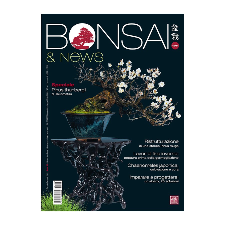 BONSAI & NEWS 195 -  GEN-FEB 2023
