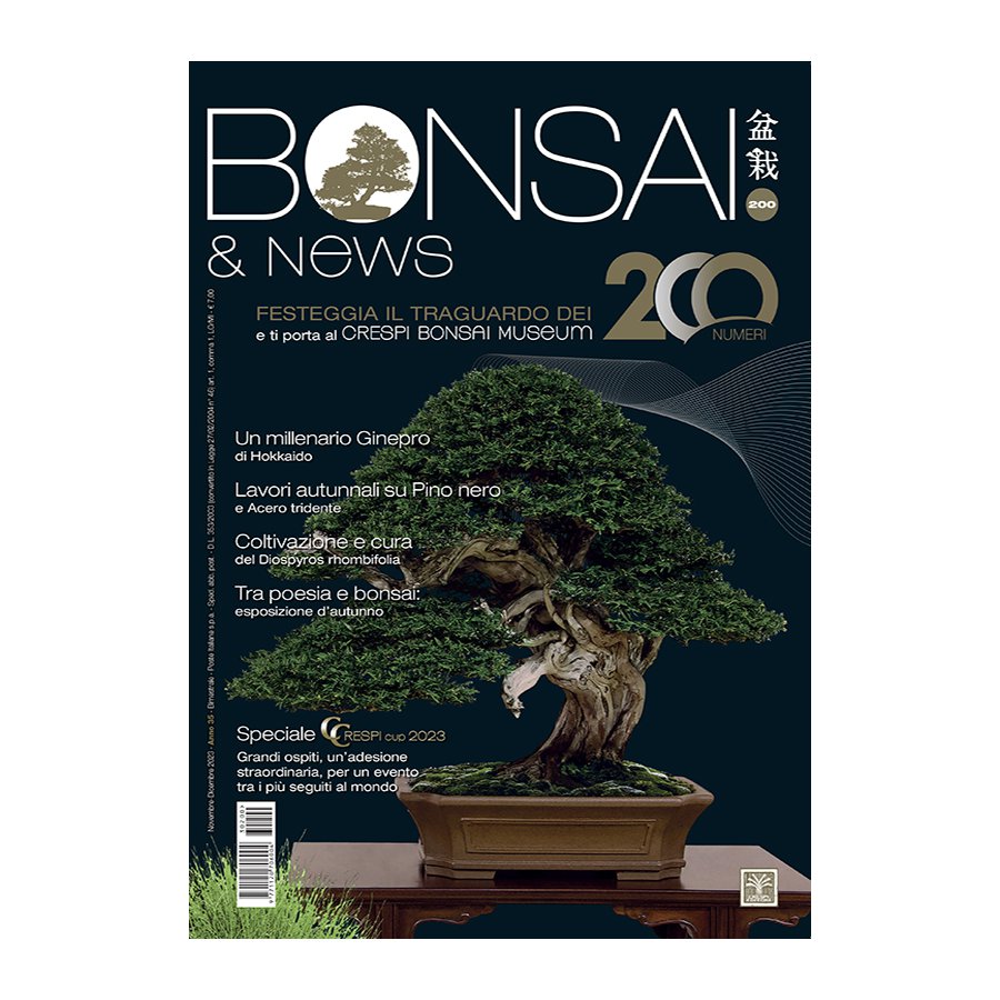 BONSAI & NEWS 200 - NOV-DIC 2023