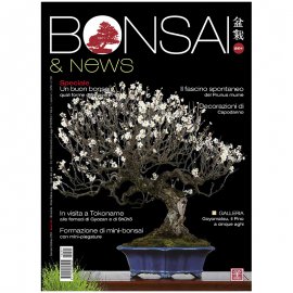 BONSAI & NEWS 201 - GENN-FEBB 2024