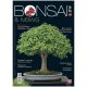 BONSAI & NEWS 203 - MAG-GIU 2024