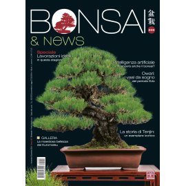 BONSAI & NEWS 206 - NOV-DIC 2024