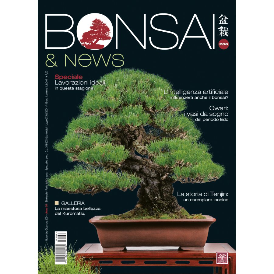 BONSAI & NEWS 206 - NOV-DIC 2024