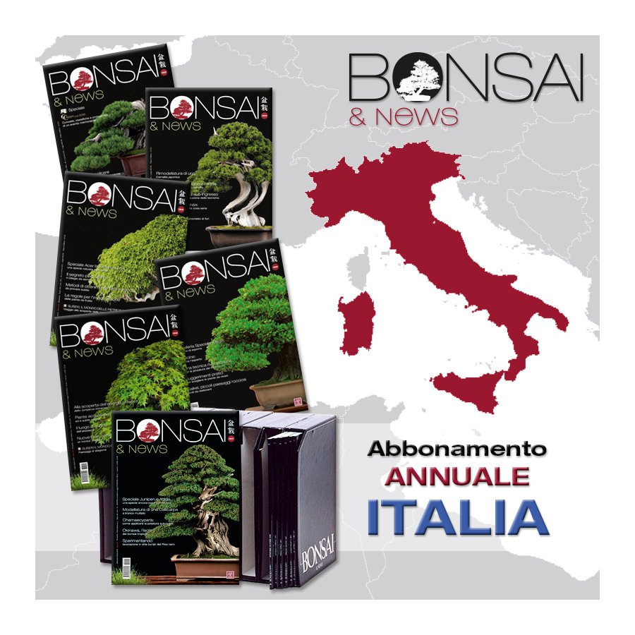 ABBONAMENTO ANNUALE ITALIA - BONSAI & NEWS