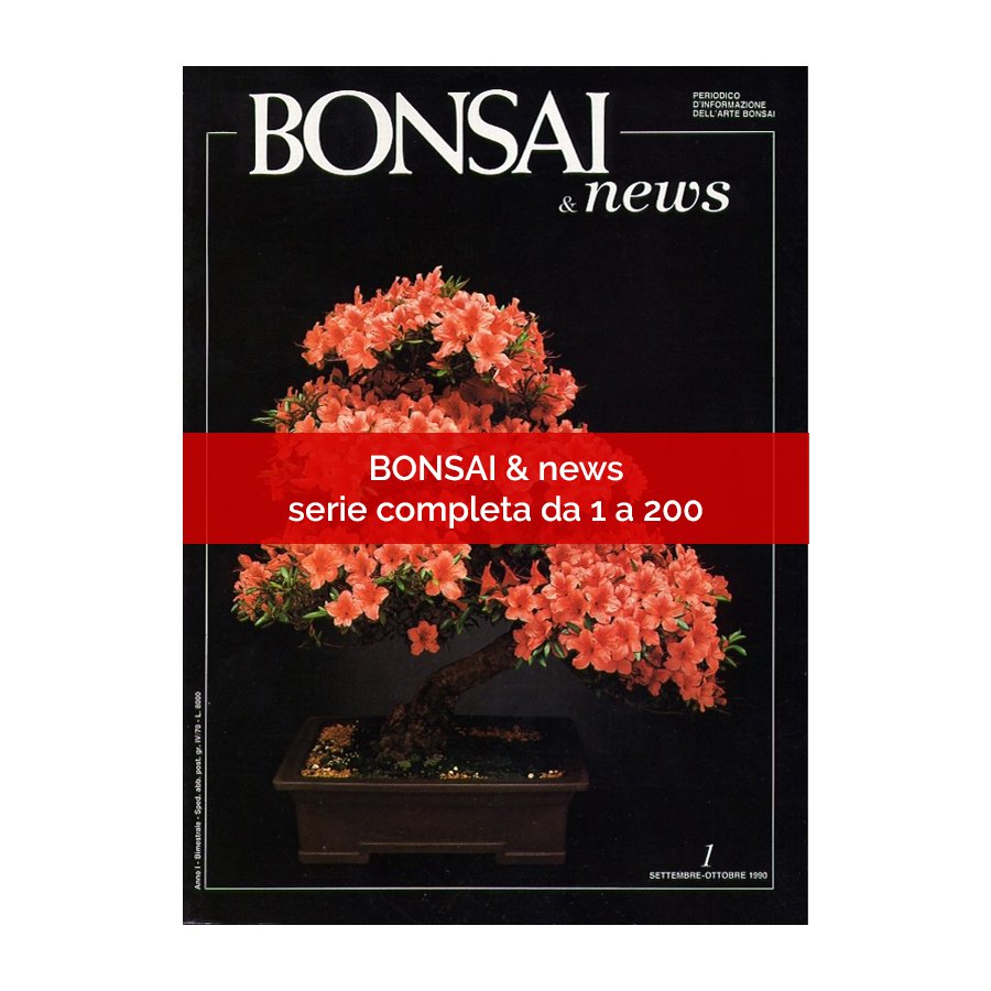 SERIE COMPLETA BONSAI & NEWS DALL'1 AL 200
