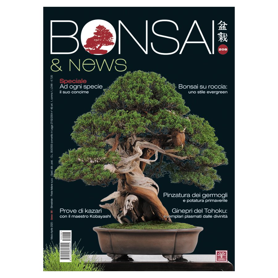 BONSAI & NEWS 207 - GENN-FEBB 2025