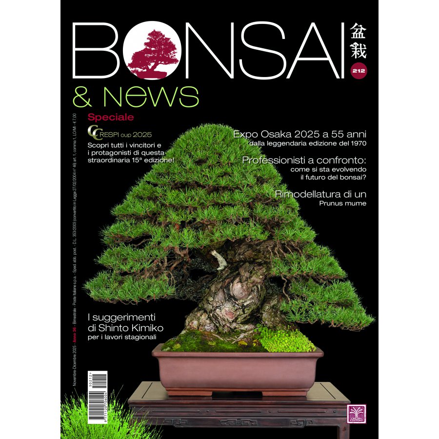 BONSAI & NEWS 212 - NOV-DIC 2025