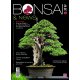 BONSAI & NEWS 213 - GENN-FEBB 2026