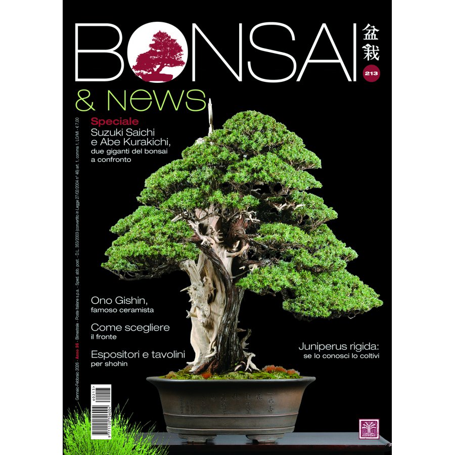 BONSAI & NEWS 213 - GENN-FEBB 2026