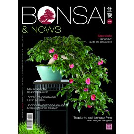 BONSAI & NEWS 213 - MAR-APR 2026