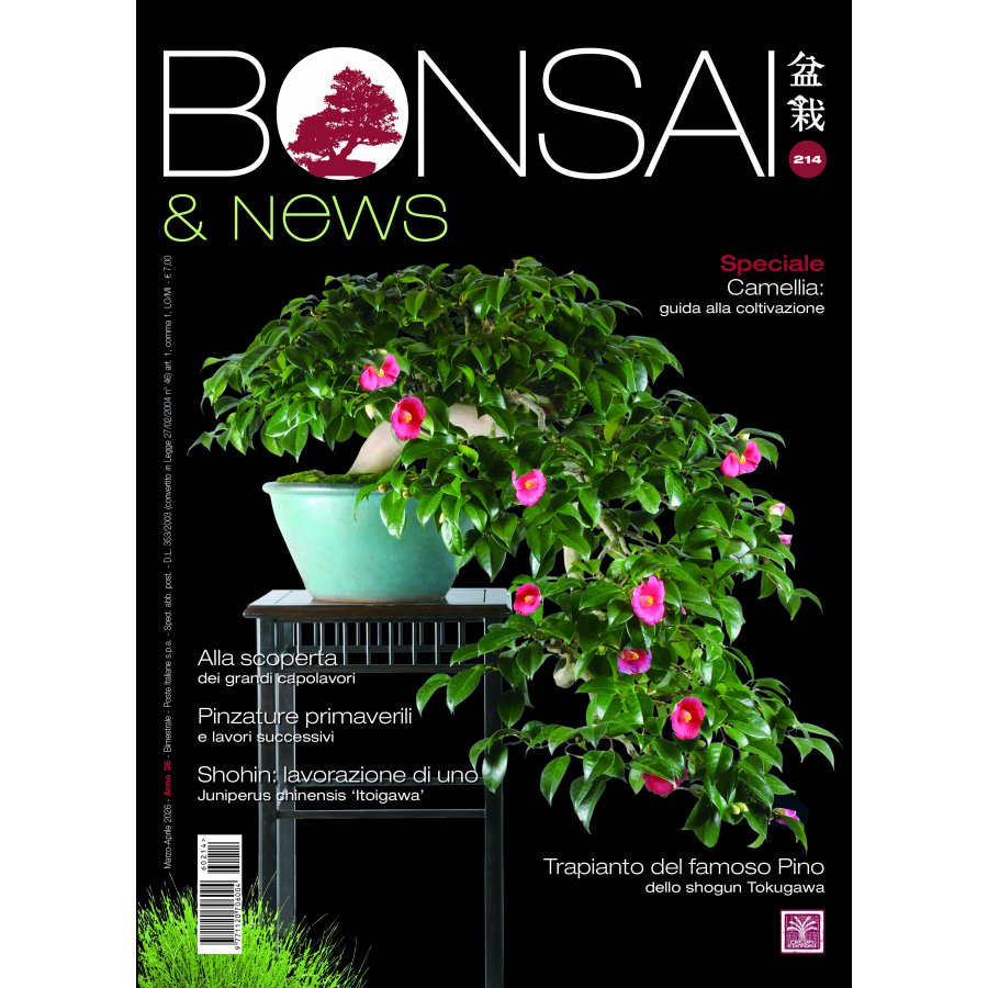 BONSAI & NEWS 213 - MAR-APR 2026