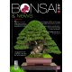 BONSAI & NEWS 212 - NOV-DIC 2025