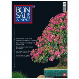 BONSAI & NEWS 119 - MAG-GIU 2010