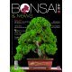 BONSAI & NEWS 211 - SETT-OTT 2025