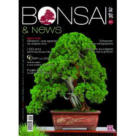 BONSAI & NEWS 211 - SETT-OTT 2025