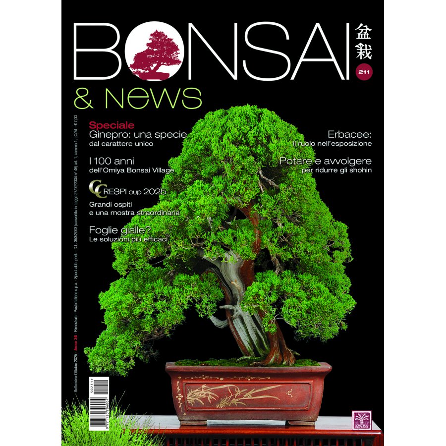 BONSAI & NEWS 211 - SETT-OTT 2025
