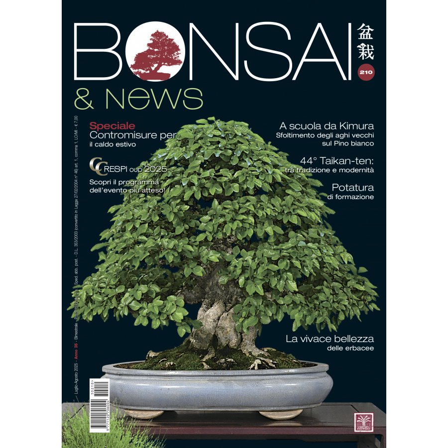BONSAI & NEWS 210 - LUG-AGO 2025