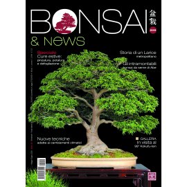 BONSAI & NEWS 209 - MAG-GIU 2025