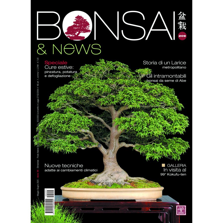 BONSAI & NEWS 209 - MAG-GIU 2025